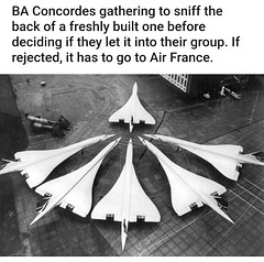 O&S(meme) - concorde cliques