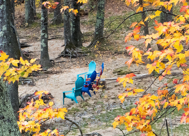 Adirondacks, riverside