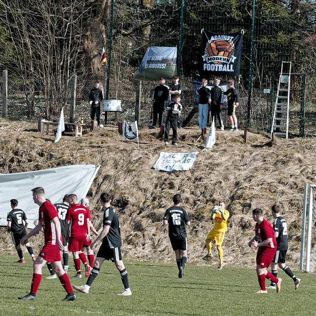 20250412_Voigtsfeld Benne, Fußball, Wildpflanzen