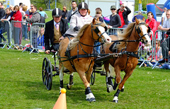 Portsmouth County Fair May 2015  X-Pro 1 Scurry Race 8