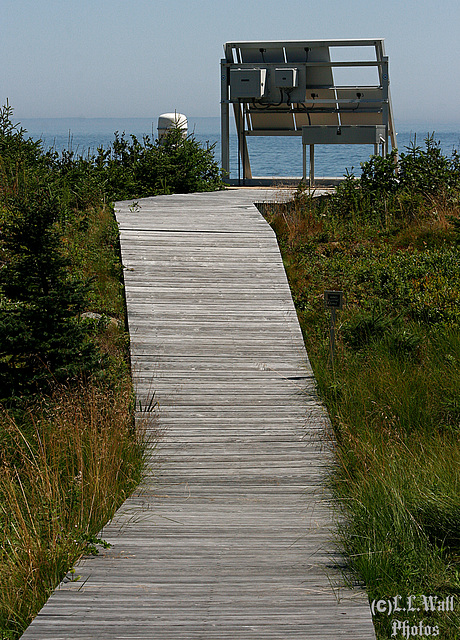 Solar Panel Boardwalk