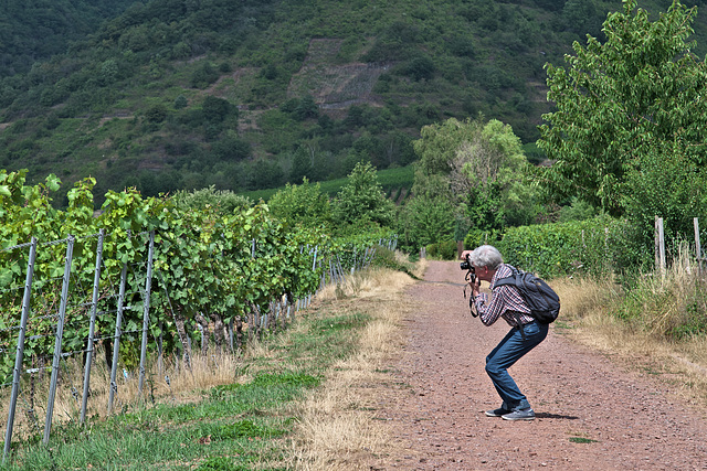 Rieslingfotograf