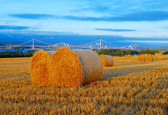 Harvest time in Scotland.