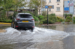 EOS 6D Peter Harriman 09 35 34 03983 Flooding dpp