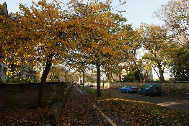 Autumn Colours In St. Andrews