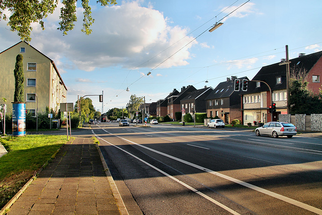 IMG 9629
