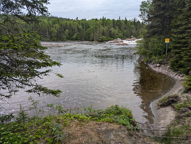 Un paysage rafraîchissant / A refreshing view