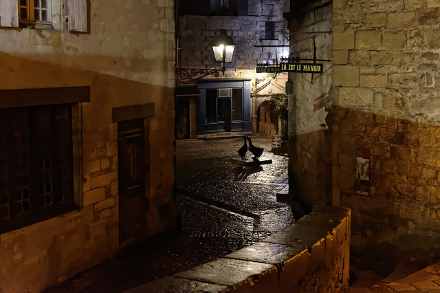 Sarlat-la-Canéda