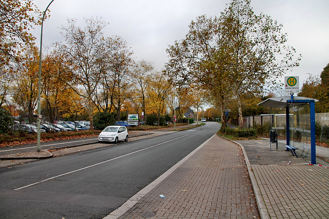 Tersteegenstraße (Neukirchen-Vluyn) / 9.11.2018