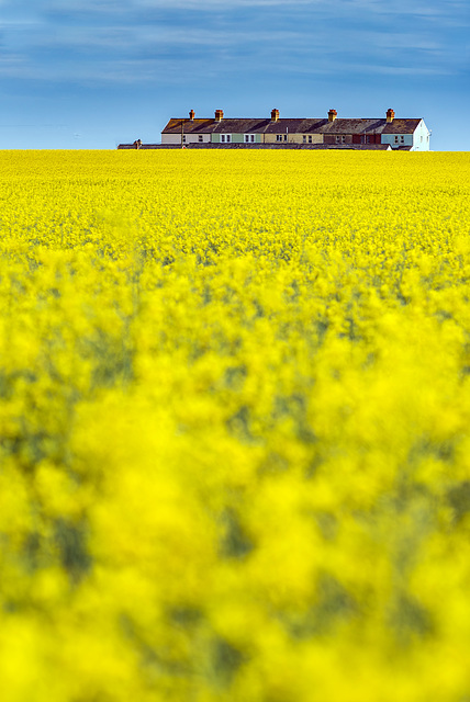 Coastguard Cottages across Lemon Fields