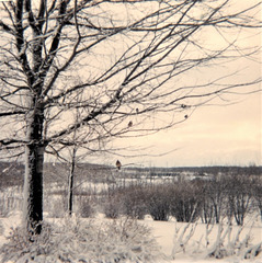 Long Winter. 1965-66