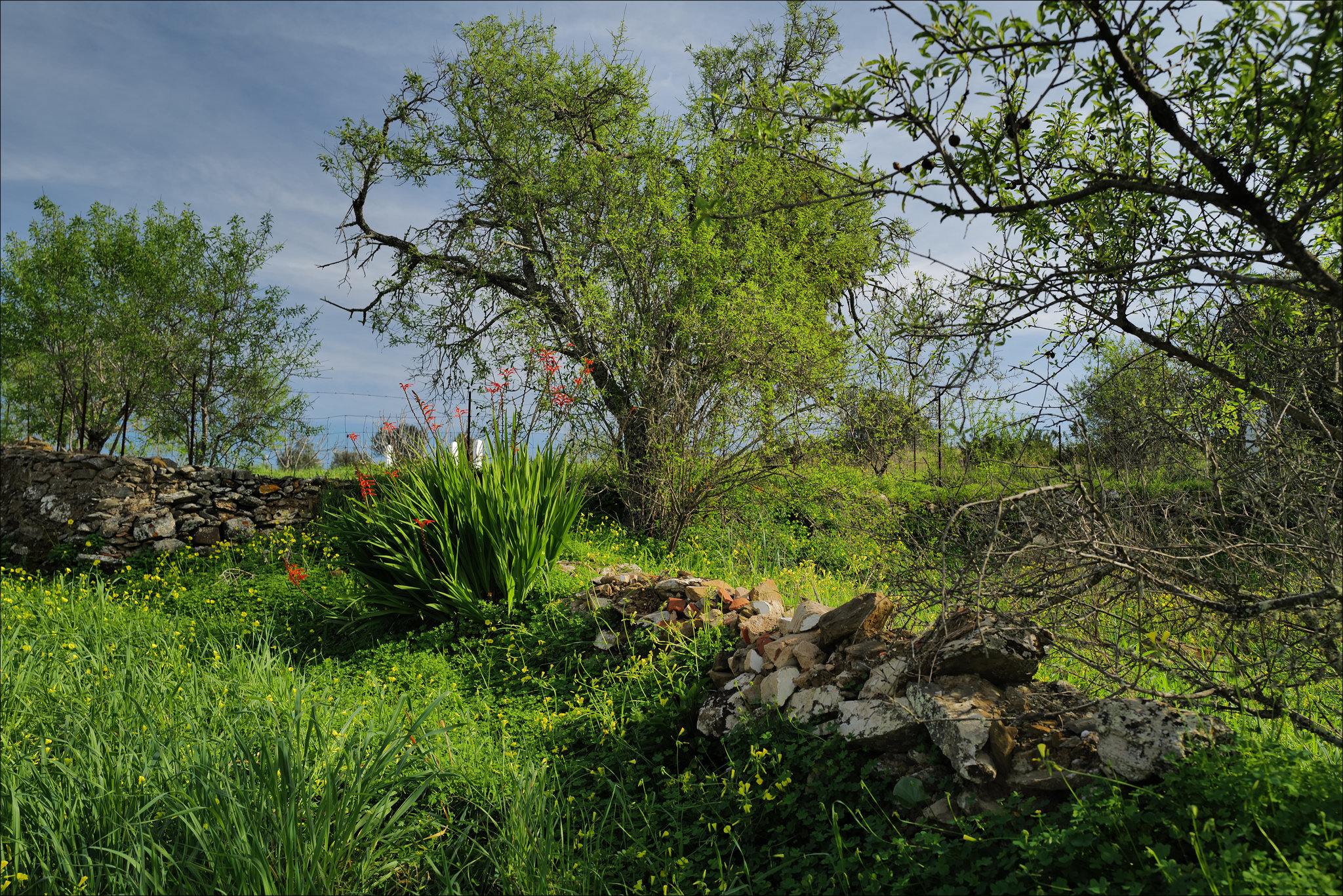 Penedos, HFF IS NOW CLOSED, SEE YOU NEXT WEEK.