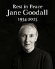 Jane Goodall ✨️❤✨️