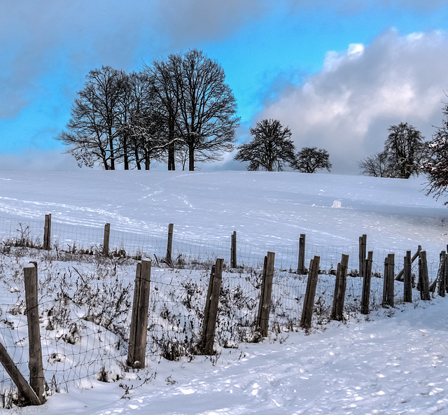 Uphillwinterfence ;-)