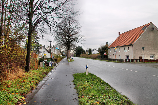 Hammer Straße (Unna-Königsborn) / 25.11.2017