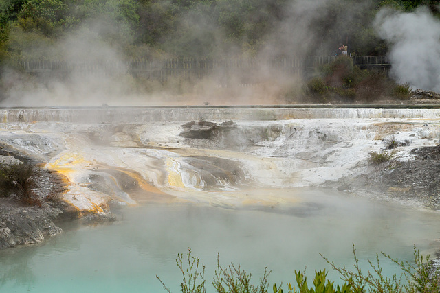 Neuseeland - Rotorua - Whakarewarewa