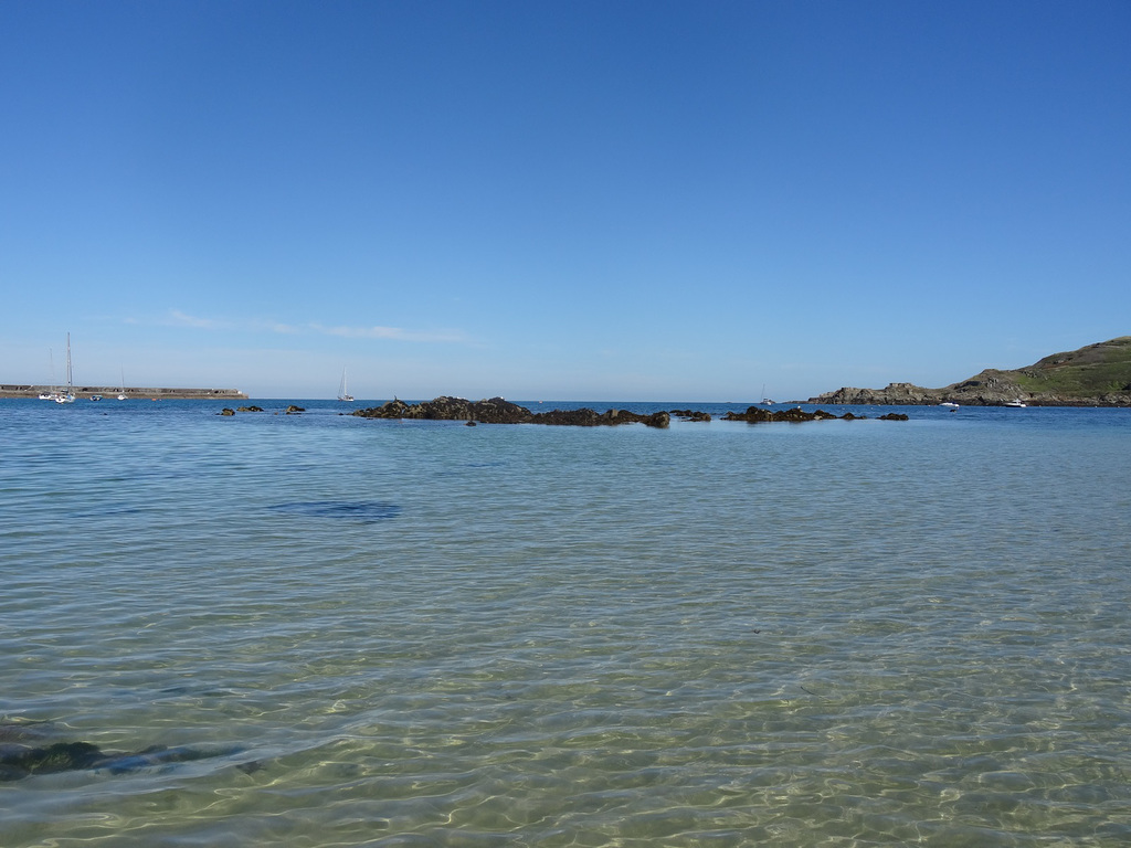 aysep2019coast (1049)