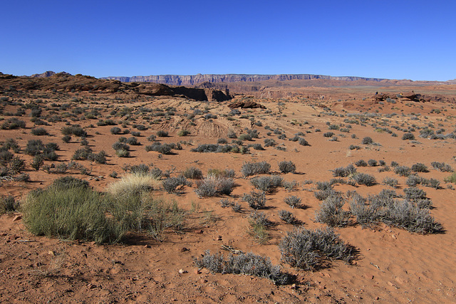 Horseshoe Bend
