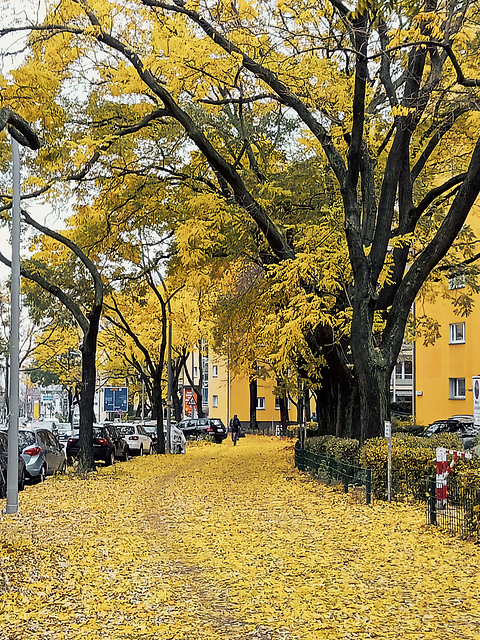 Herbstfarben