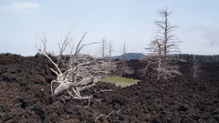 Erkaltete Lava am Ätna (Sizilien)