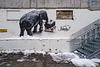 Akureyri backyard