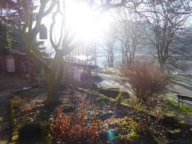 Wintermorgen im Licht ohne Schnee