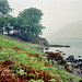 Looking W along Ullswater from near Kailpot Bay (Scan from May 1993)