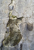 IMG 2092-001-Concrete Textures