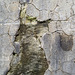 IMG 2092-001-Concrete Textures