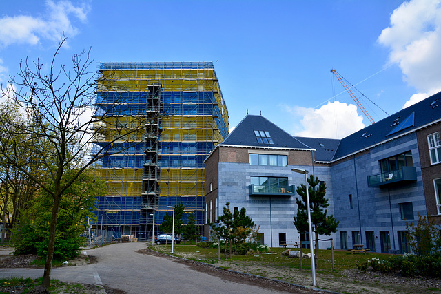 Building project Clusius