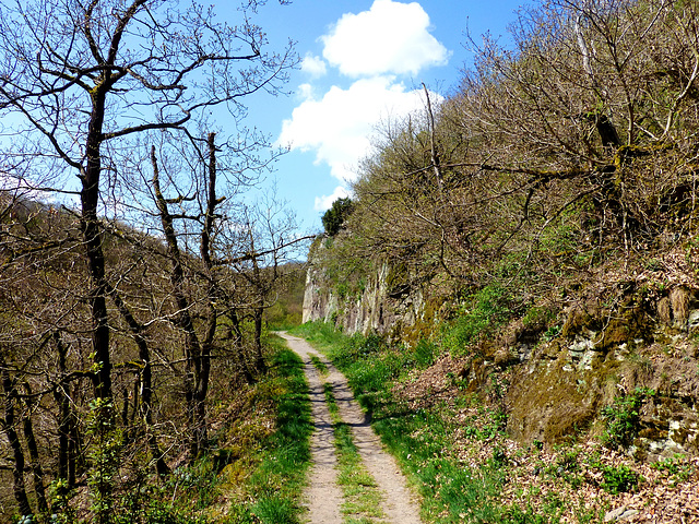 DE - Roes - Hiking on the Pyrmonter Felsensteig