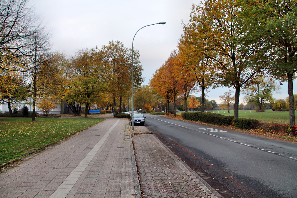 Tersteegenstraße (Neukirchen-Vluyn) / 9.11.2018