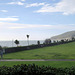 IMG 2094-001-Western Lawns