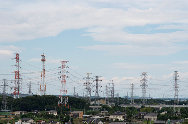 Forest of towers