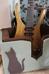 Guitar in a 'cello stand