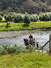 The Ropeway bucket bridge at Shenachie across the Findhorn