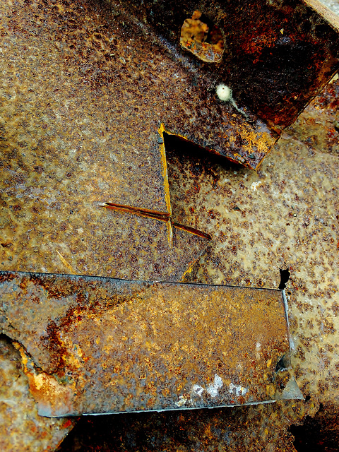 Rusty Stuff at The Scrapyard 4