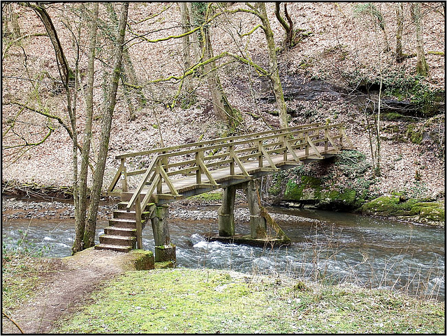 Burg Manderscheid, Manderscheid 023