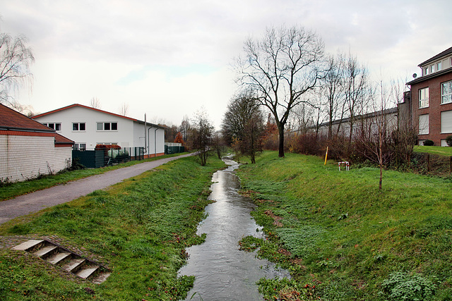 Der Mühlbach auf der Stadtgrenze zwischen Unna und Kamen / 25.11.2017