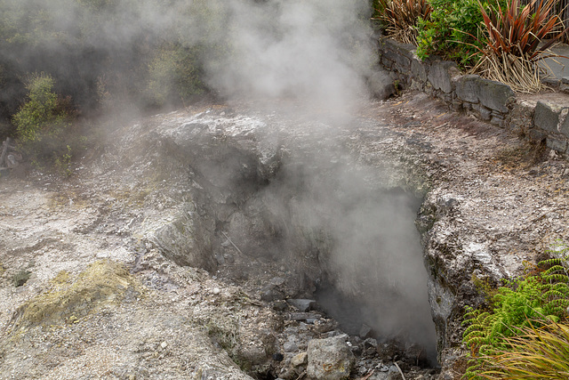 Neuseeland - Rotorua - Whakarewarewa