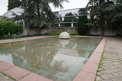 Reflections In The Rheinpark
