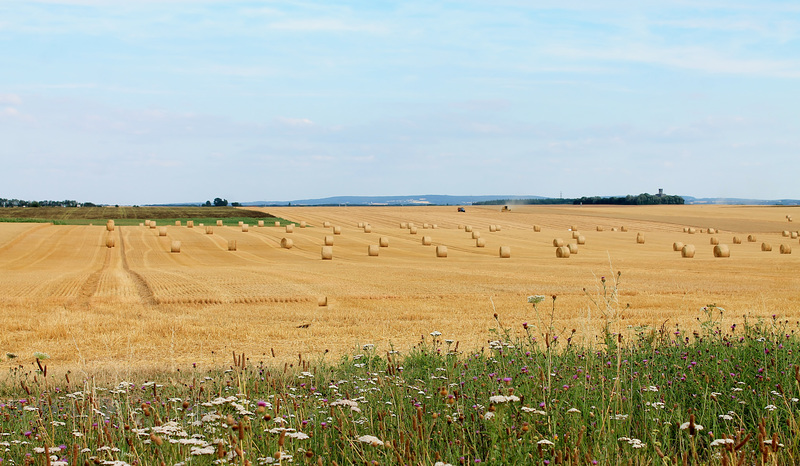 la campagne après la moisson