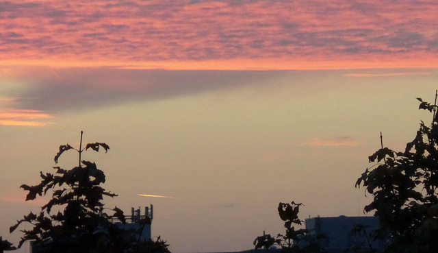 Sonnenaufgang in Riedberg/ Frankfurt