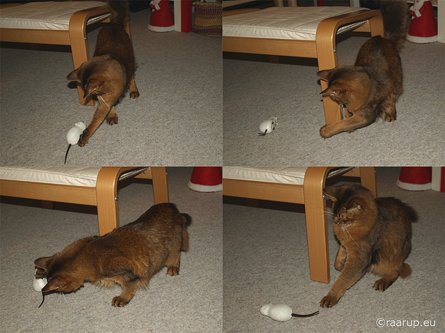 Rags and the white mouse, 3