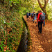 LEVADA DO CALDEIRÃO VERDE