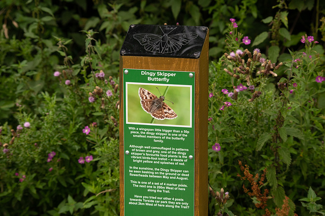 Londendale Trail sign: Dingy Skipper