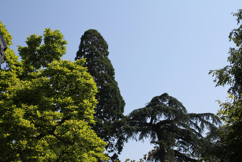 Au sommet... Jardin Lecoq