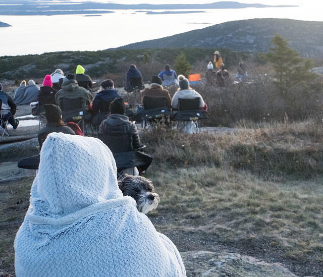 Pup and sunrise spectators