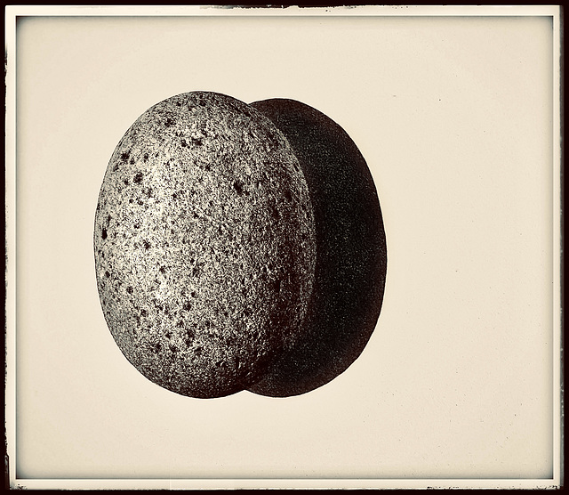 Single stone in frame.