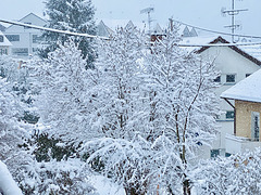 Es schneit den ganzen Tag